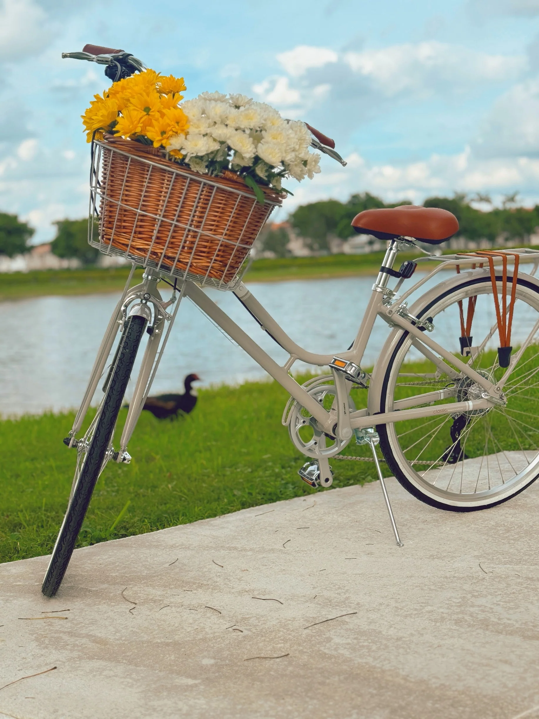 XDSBIKE Classic 7-Speed Women’s City Bike - Image 3